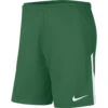 Nike Dri-FIT League Knit II Voetbalshort Groen KIDS