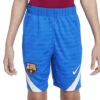 Nike FC Barcelona 2021/22 Strike Short Blauw KIDS