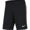 Nike Liverpool FC 2021/22 Uitshort Heren