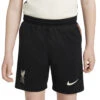 Nike Liverpool FC 2021/22 Uitshort KIDS