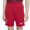 Nike Liverpool FC 2021/22 Thuisshort KIDS
