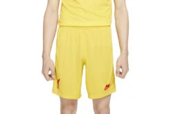 Nike Liverpool FC 2021/22 Stadium Derde Short Heren