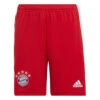 Adidas FC Bayern München 22/23 Thuisshort KIDS