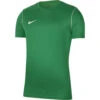 Nike Park 20 Trainingsshirt Groen Heren