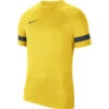 Nike Dri-Fit Academy 21 Voetbalshirt Geel KIDS