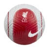 Nike Liverpool FC Strike Grijs/rood