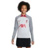 Nike Liverpool FC Strike Sweatshirt Wolf Grey/Smoke Grey/Tough Red