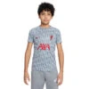 Nike Liverpool FC Voetbalshirt Wolf Grey/Tough Red KIDS