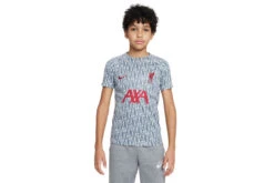 Nike Liverpool FC Voetbalshirt Wolf Grey/Tough Red KIDS