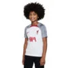 Nike Liverpool FC Strike Voetbalshirt Wit/Smoke Grey/Tough Red KIDS
