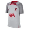 Nike Liverpool FC Strike Voetbalshirt Wolf Grey/Smoke Grey/Tough Red KIDS