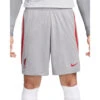 Nike Liverpool FC Strike Trainingsbroek Smoke Grey/Tough Red Heren