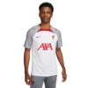 Nike Liverpool FC Strike Voetbalshirt Wit/Smoke Grey/Tough Red Heren